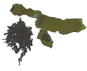 wakame.jpg