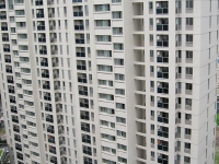 008.jpg